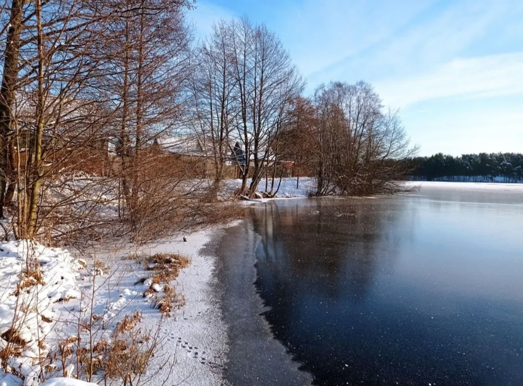 Коттедж Гостевой дом с русской баней и уличной купелью — Кириши
