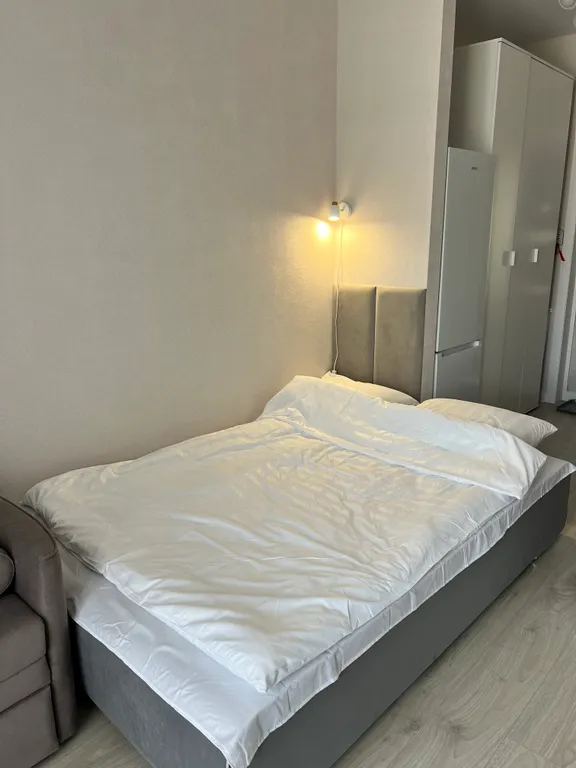 Видовая студия с посудомоечной машиной и духовкой