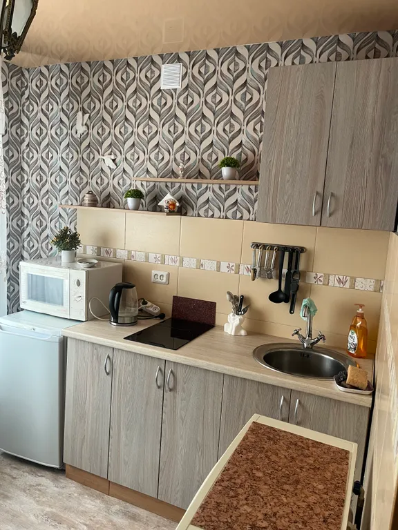 Уютная однокомнатная квартира в центре города