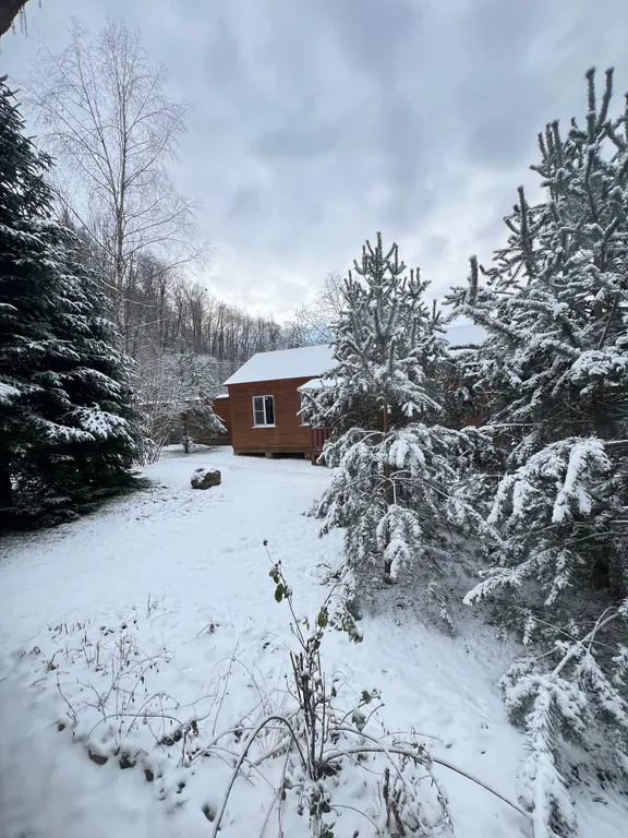 Квартира Жилая комната в деревянном домике четырёхместная — Апшеронск