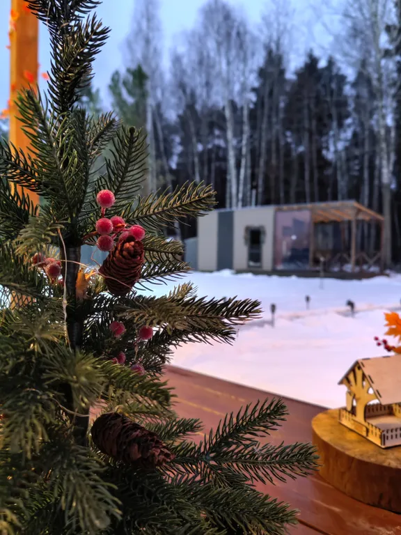 Домик с баней в лесу