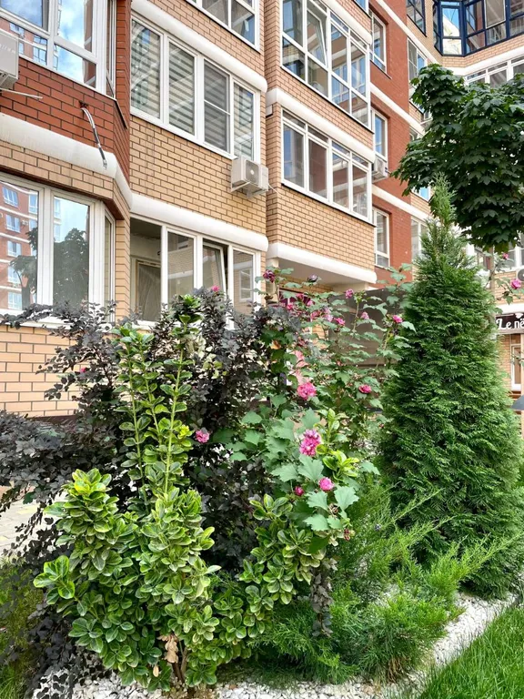 Квартира 1-комнатная Квартира — Краснодар