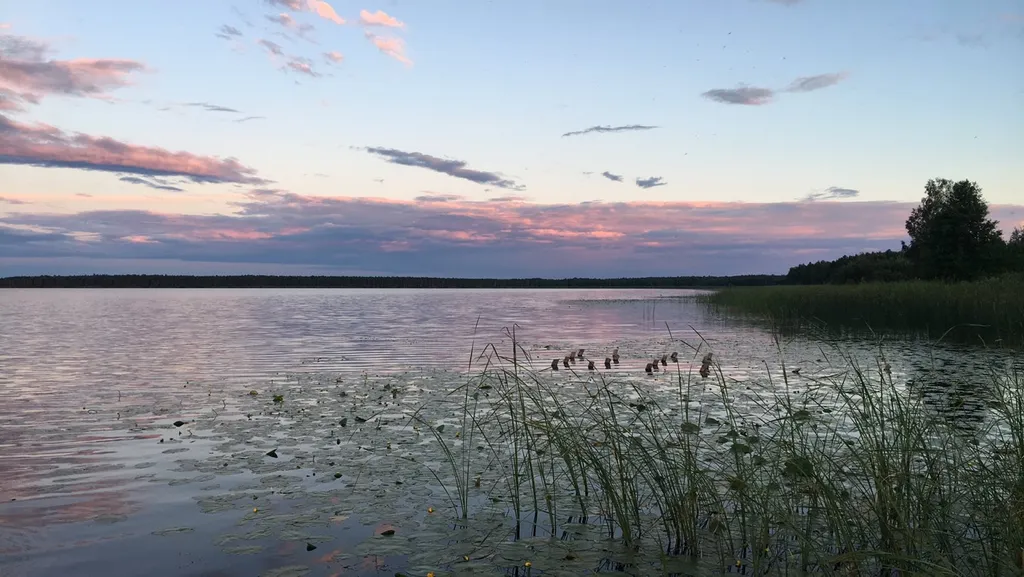 Дом для ретритов и спокойного отдыха в Березинском заповеднике