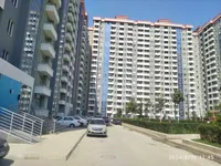 Зара Гаджиева
