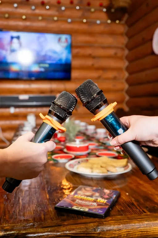 Гуси Лебеди