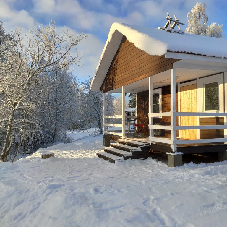 Коттедж Дом с террасой прямо на берегу реки — Торфяное