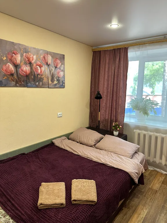 Комфортная однокомнатная квартира на главном проспекте города — аренда посуточно в Елабуга