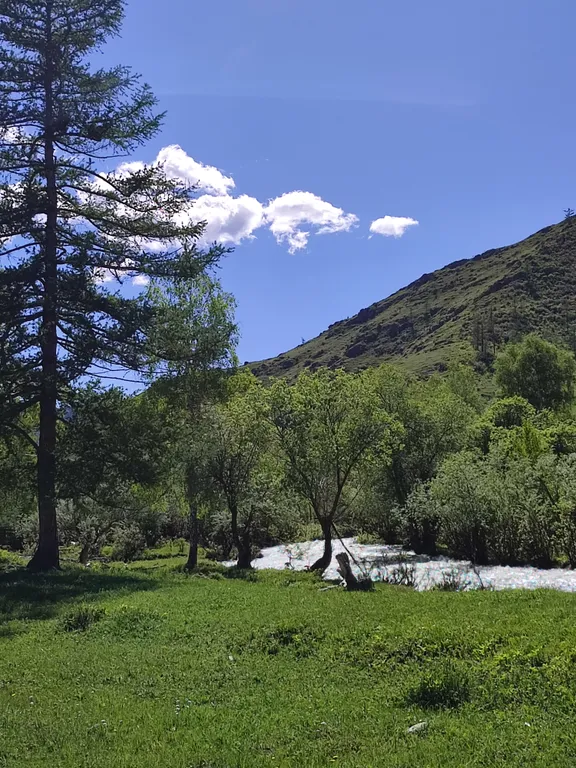 База отдыха Акбулак домики на берегу реки