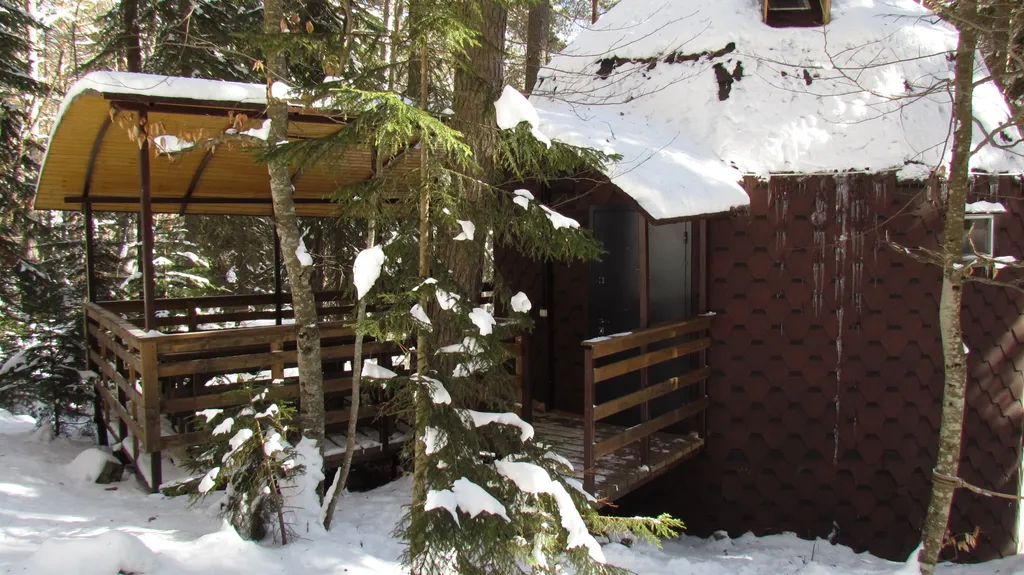 Коттедж Купольный дом в заповедном лесу — Архыз