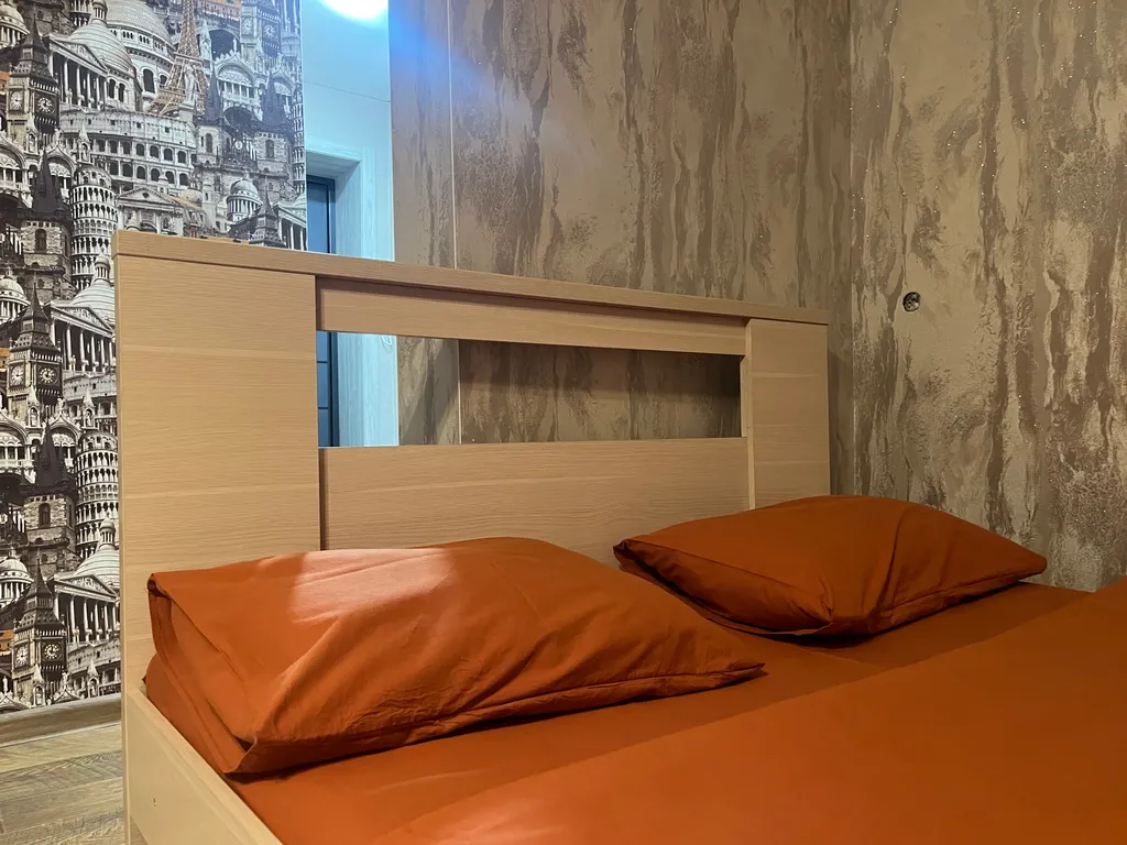 Уютная квартира в центре, за тц пионер — аренда посуточно в Барнаул