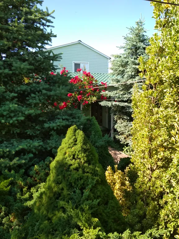 Уютный дачный домик в Нахимовском районе