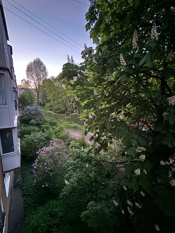 Квартира Квартира Двушка в центре — Калининград