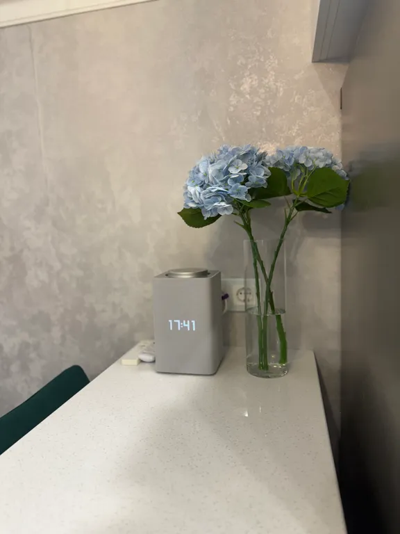 Место под соснами