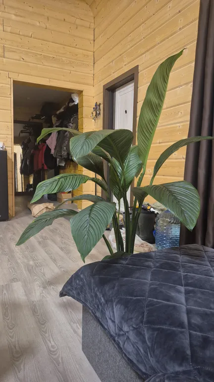 1-комнатный Дом