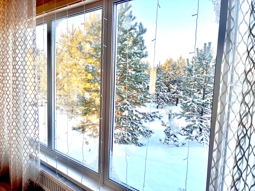 Дом-баня сосны