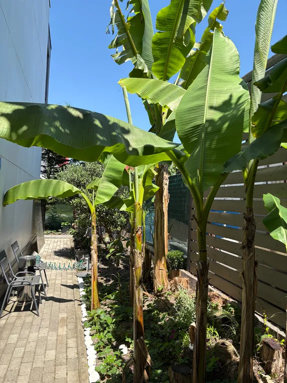 Таунхаус в самом лучшем районе