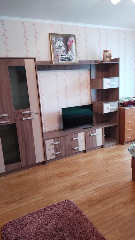 Квартира в центре — аренда посуточно в Брянск