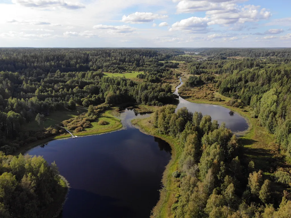 Домик в диком лесу на берегу реки