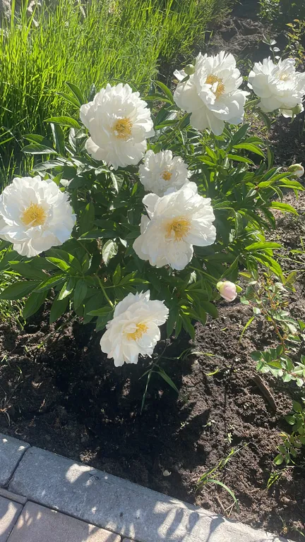 Дом в Раифе