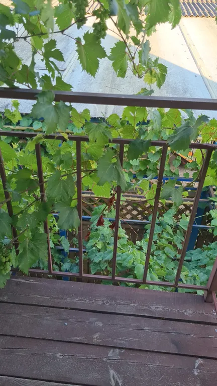 Часть дома с отдельным входом