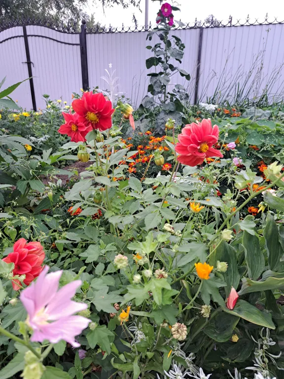 Семейный номер