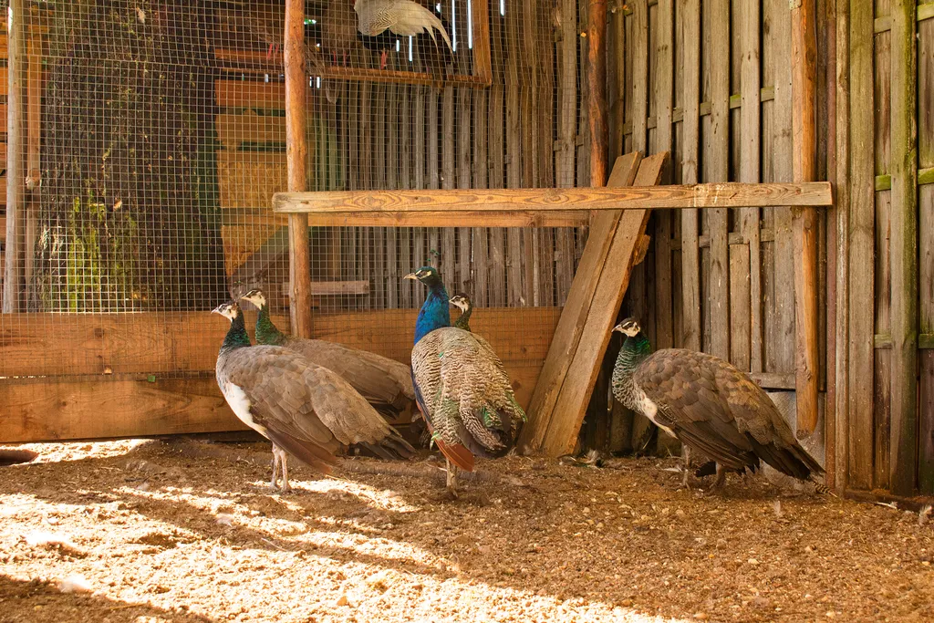 Гостевой дом для 6 гостей