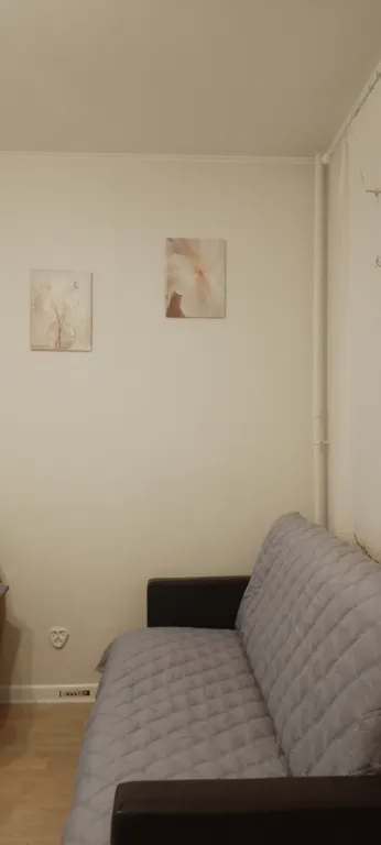 Квартира Уютная студия — Мисайлово