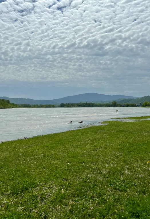 Домик с панорамным видом на Катунь