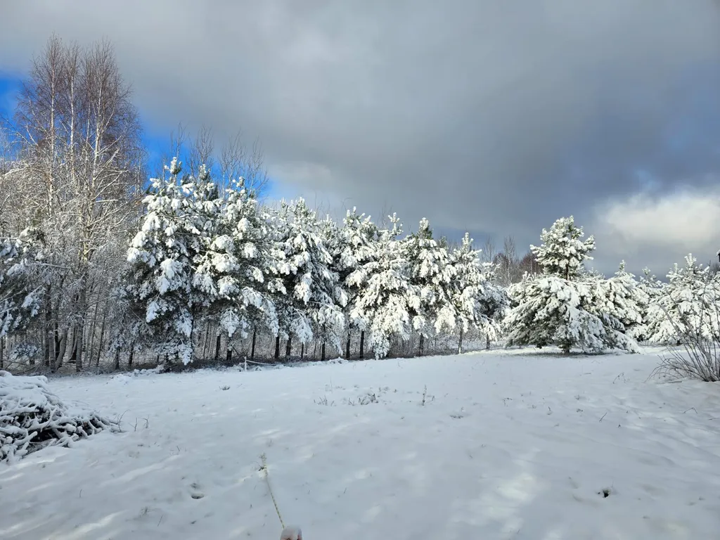 Современный дом с удобствами 1 линия озеро Селигер