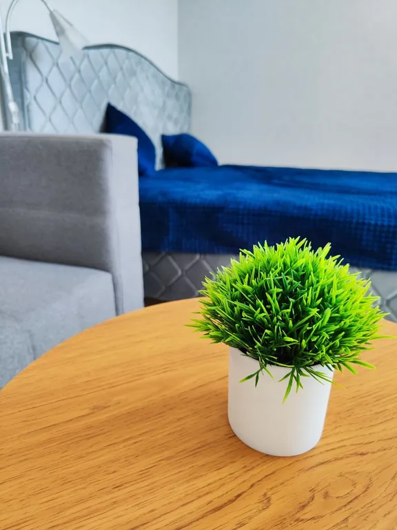 Современная, комфортная квартира-студия в светлых тонах