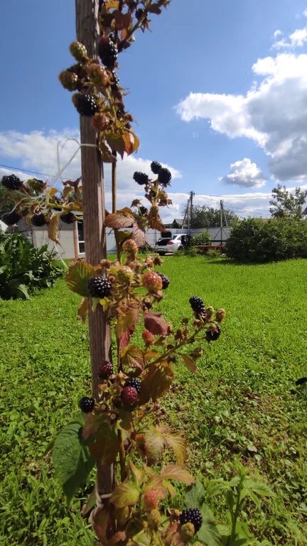 Уютный дом с сауной