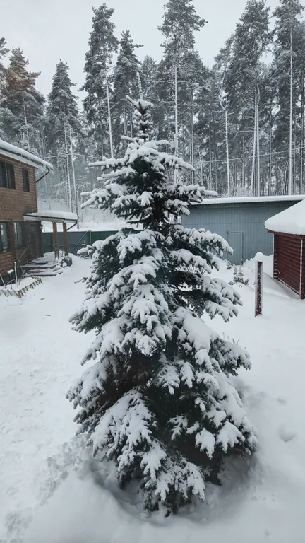 Коттедж 4-комнатный Дом — Светогорск