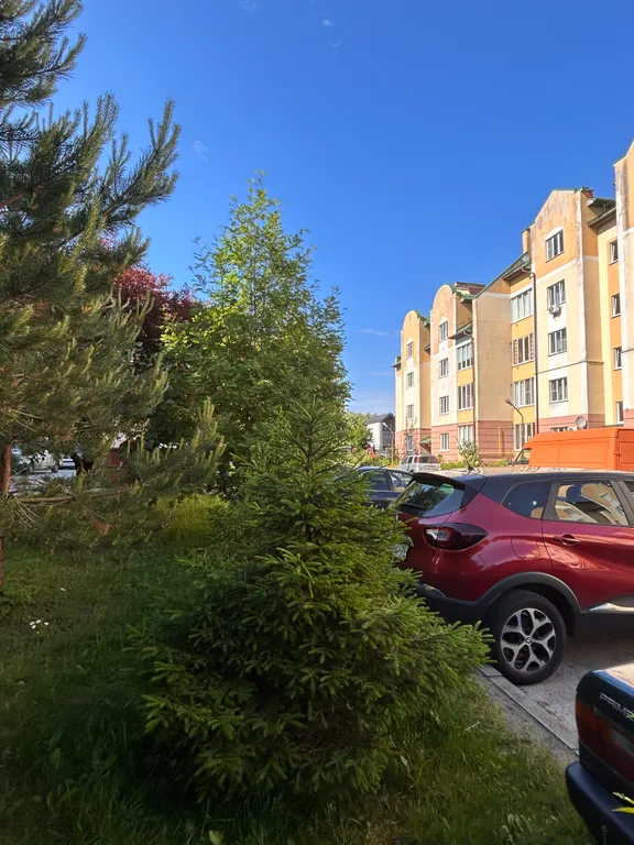 Уютные и красивые апартаменты в центре города