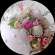Алёна