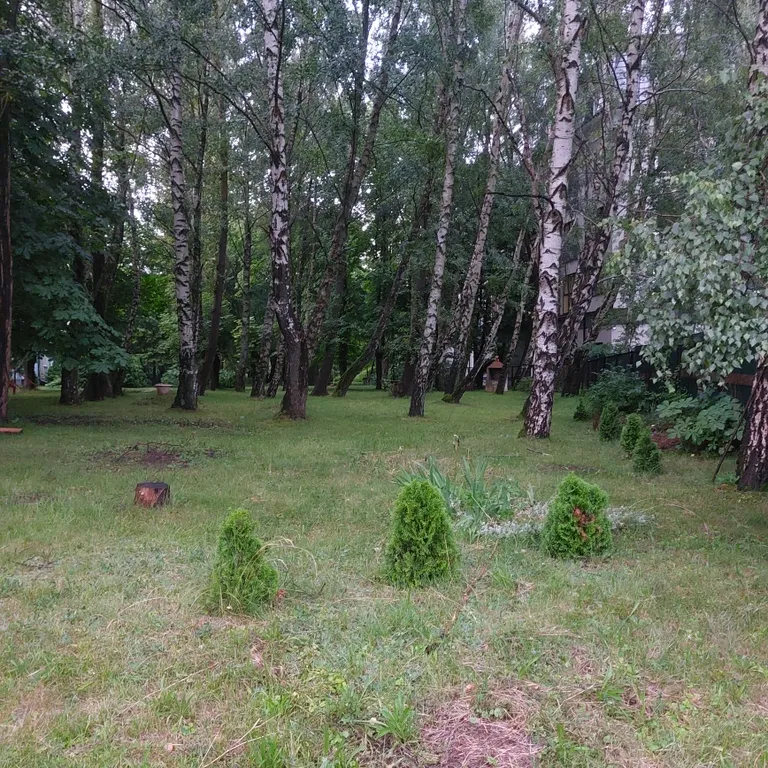 Квартира Квартира Двушка с 4 раздельными спальными местами в курортной зоне, всё рядом — Светлогорск