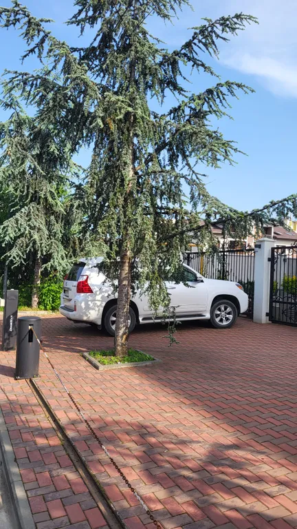 Квартира Дизайнерская квартира в олимпийском — Сириус