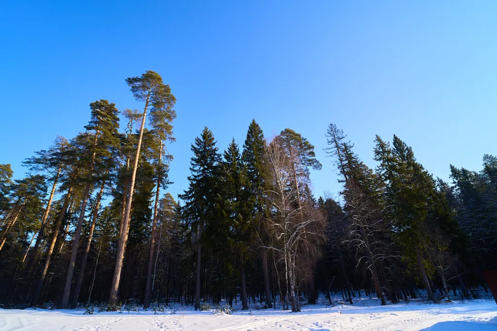 Большой уютный дом у Раифского леса для отдыха всей семьёй