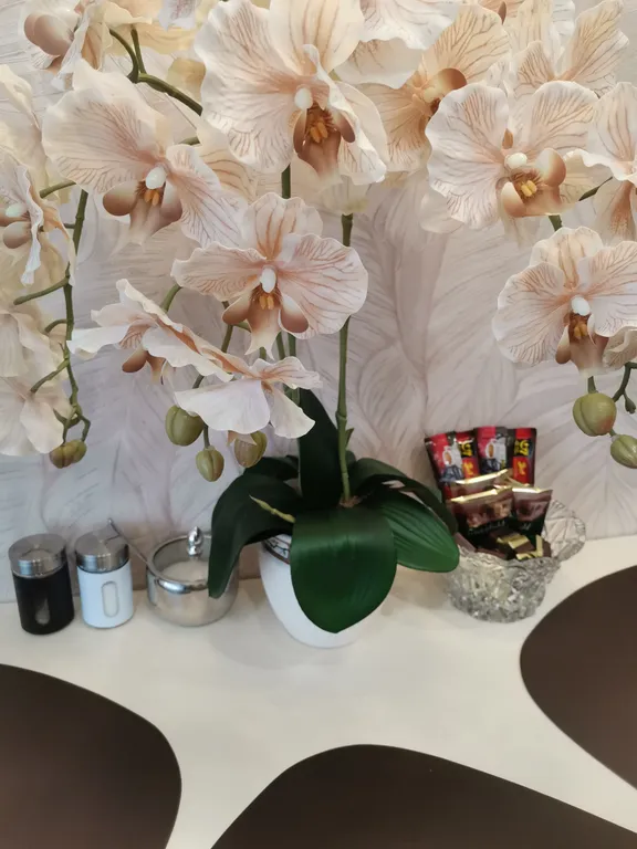 Квартира для ценителей комфорта и чистоты в центре ленинского округа