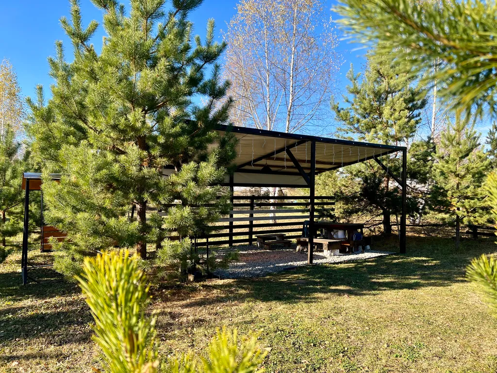 Стильный барн в соснах