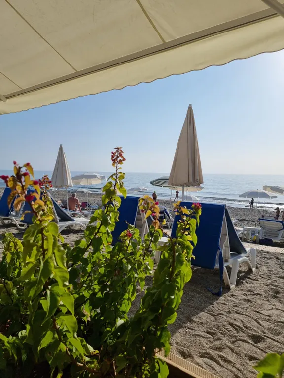 Премиум-апартаменты в 30 метрах от моря