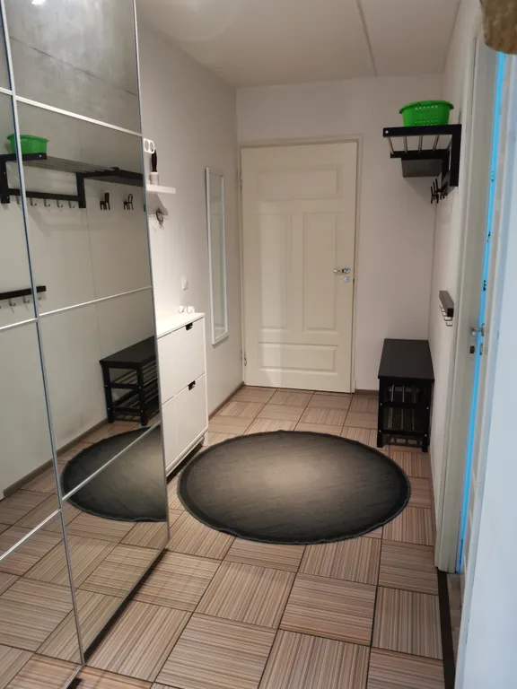 Scandinavian City Apartment