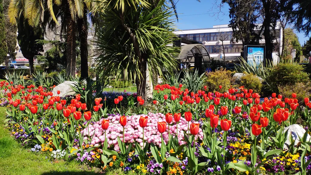 Квартира Уютная квартира в самом центре — Адлер