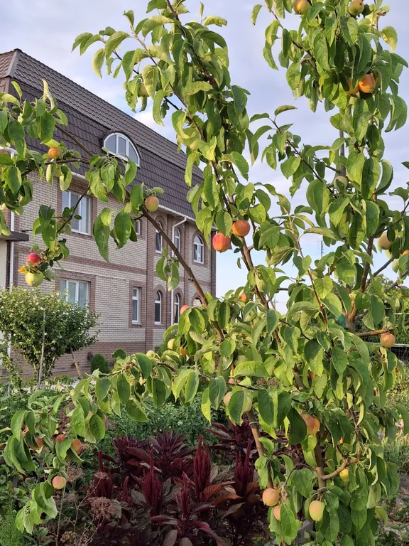 Домик с отдельным входом двумя комнатами кухней