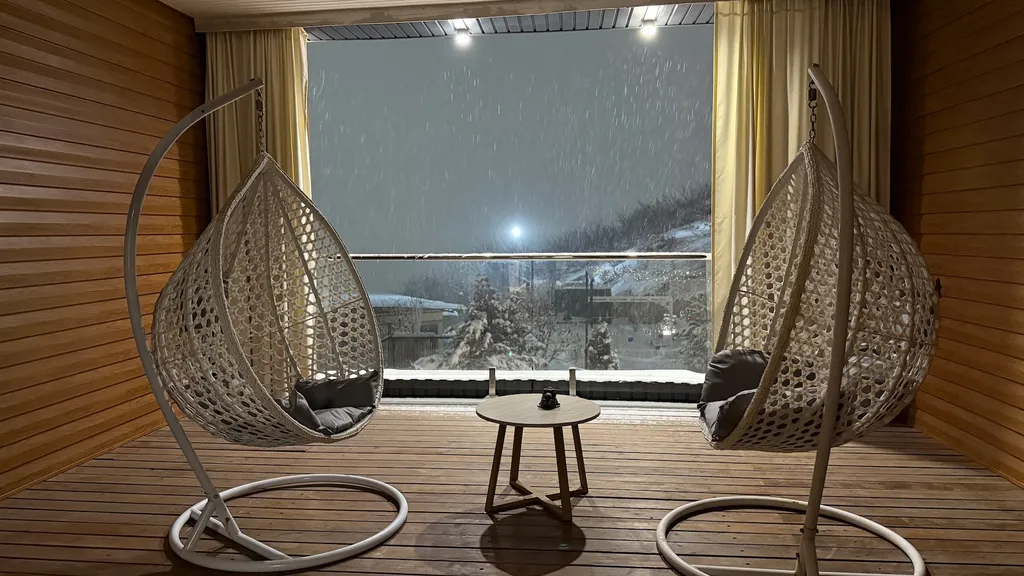 Апартаменты люкс с видом на город