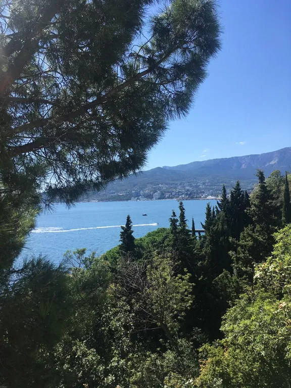 Уютная квартира у моря