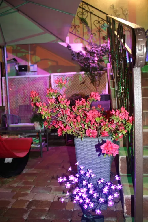 2-х комнатная квартира студия 45кв.м