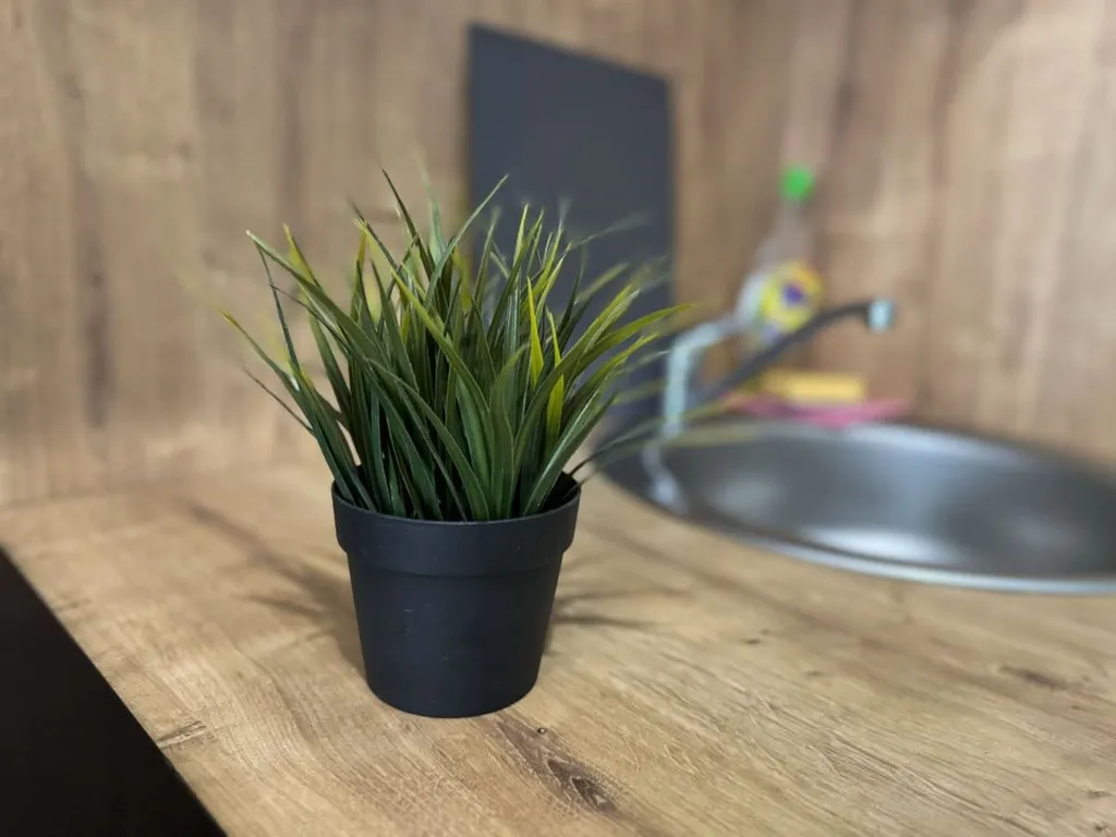 Уютная студия вблизи станции метро "Площадь Ленина"