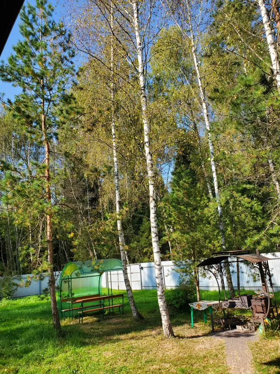 Загородный коттедж у леса