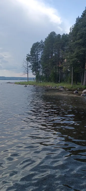 Уютный гостевой дом в лесном просторе