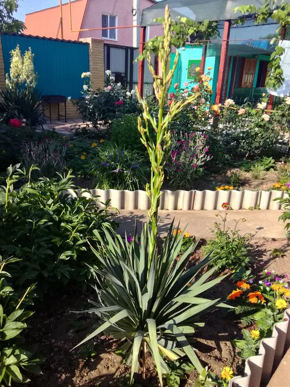 Квартира Комната — Феодосия